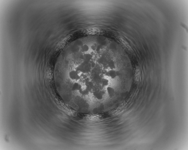 X0000098010569200804071330