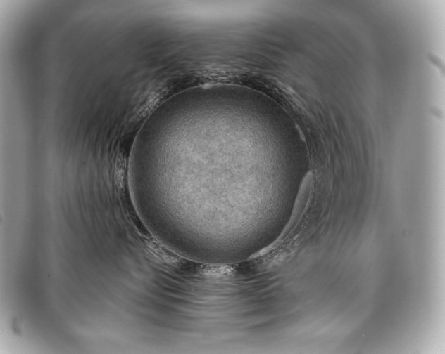 X0000098010576200804071331