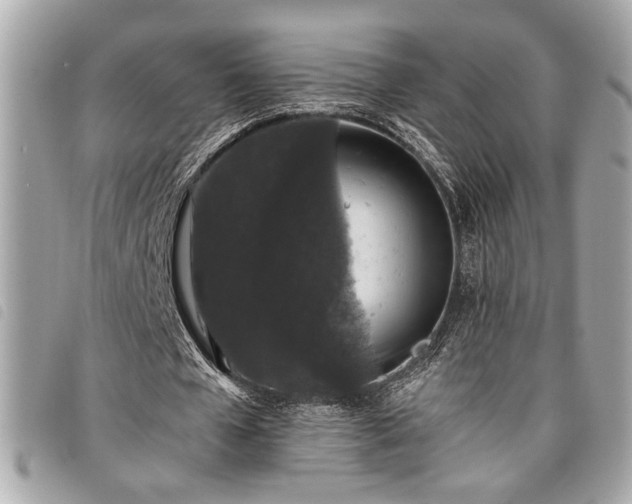 X0000098010577200804071330