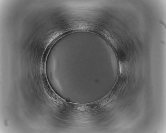 X0000098010579200804071330