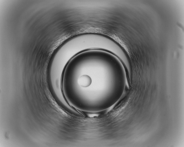 X0000098010581200804071330