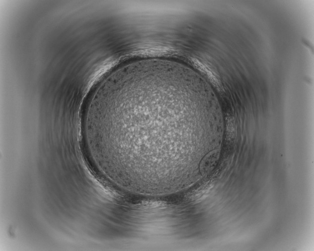 X0000098010582200804071330