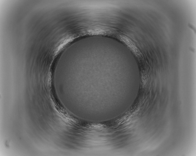 X0000098010583200804071330