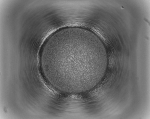 X0000098010584200804071330