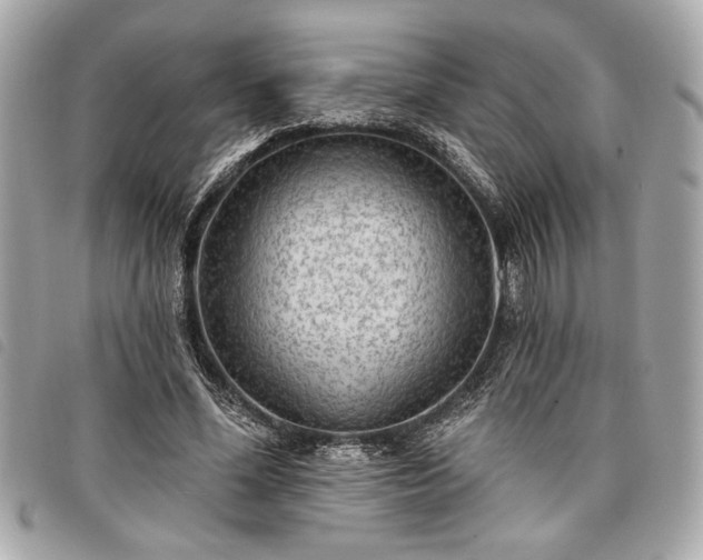 X0000098010588200804071330