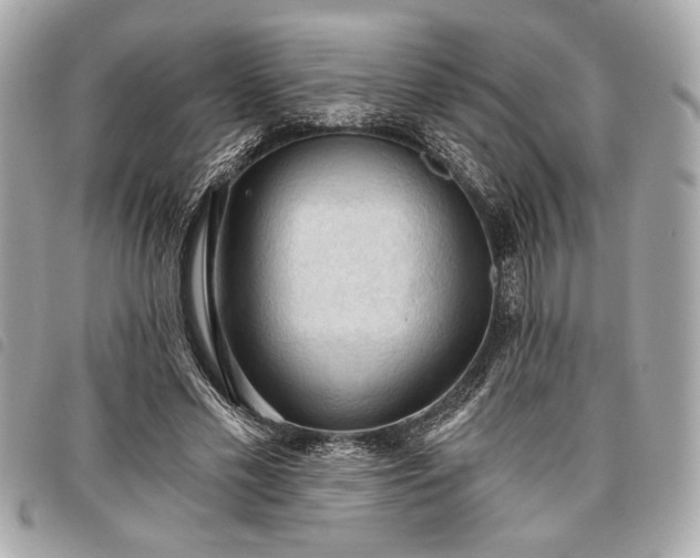 X0000098010589200804071330