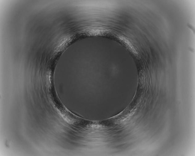 X0000098010590200804071330