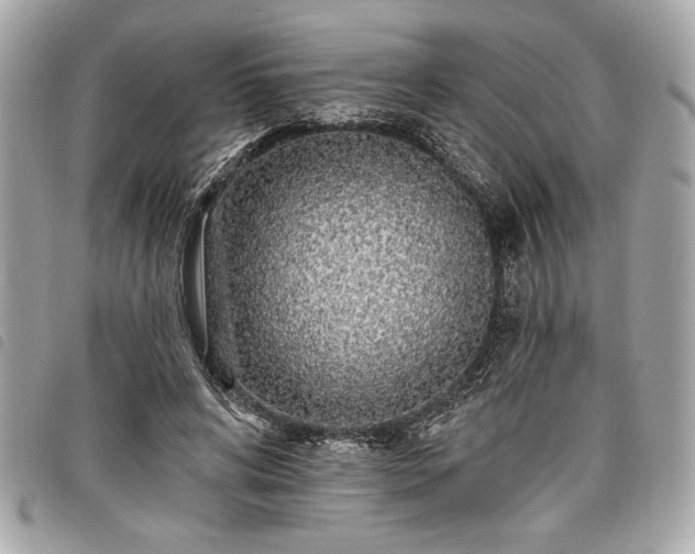 X0000098010592200804071330