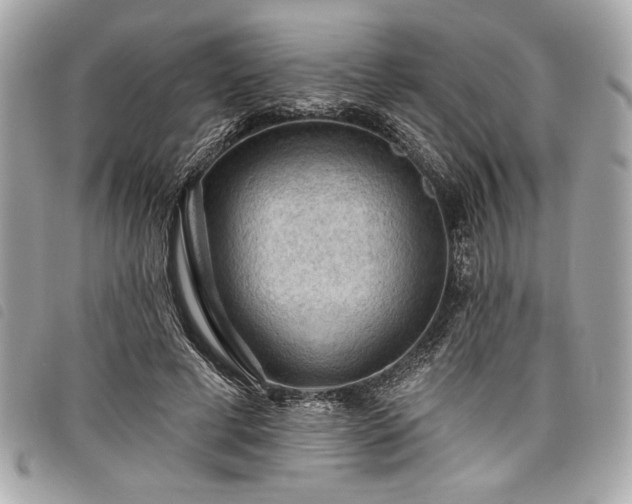 X0000098010593200804071330