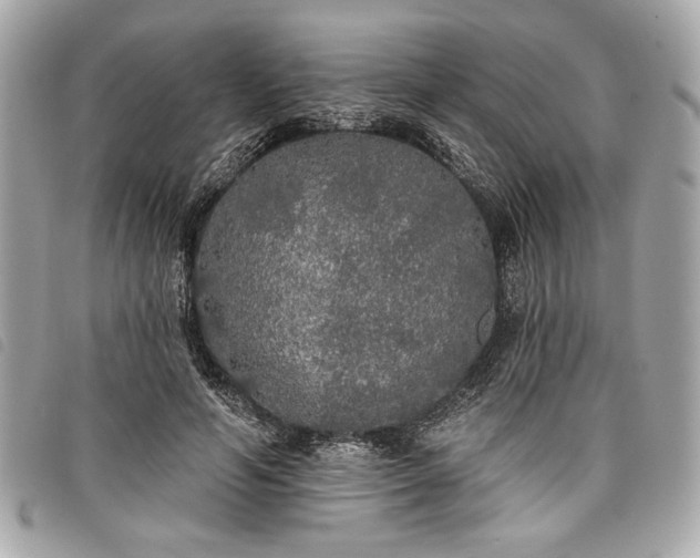 X0000098010594200804071330