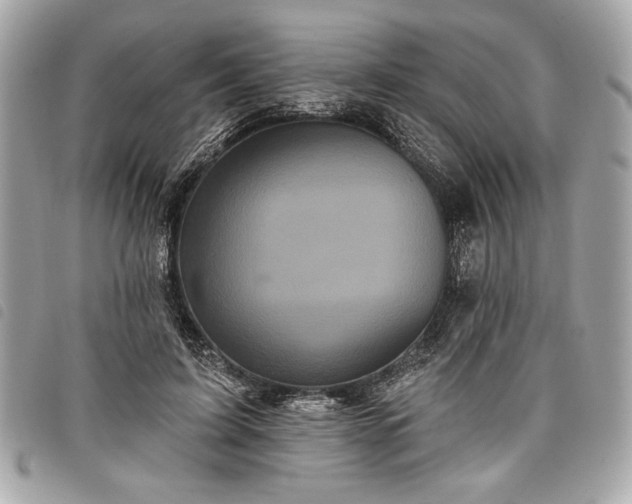 X0000098010595200804071330