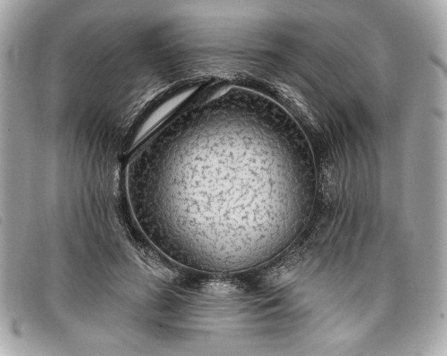 X0000098010596200804071330