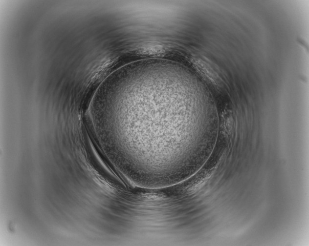 X0000098010597200804071330