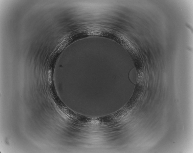 X0000098010598200804071330