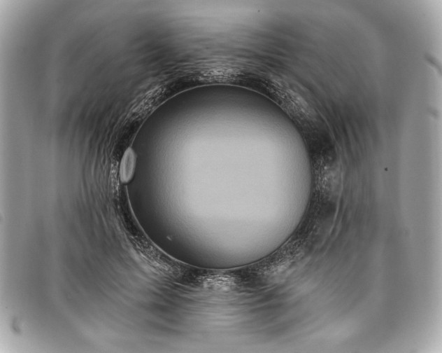 X0000098010599200804071330