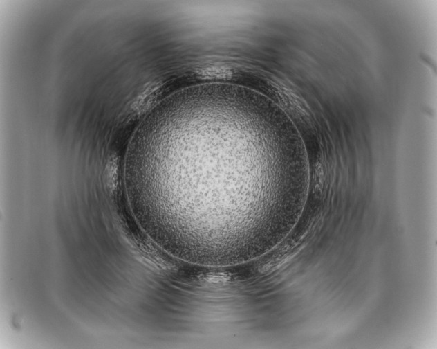 X0000098010600200804071330