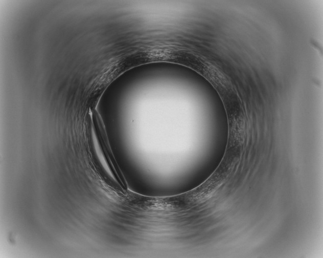 X0000098010601200804071330