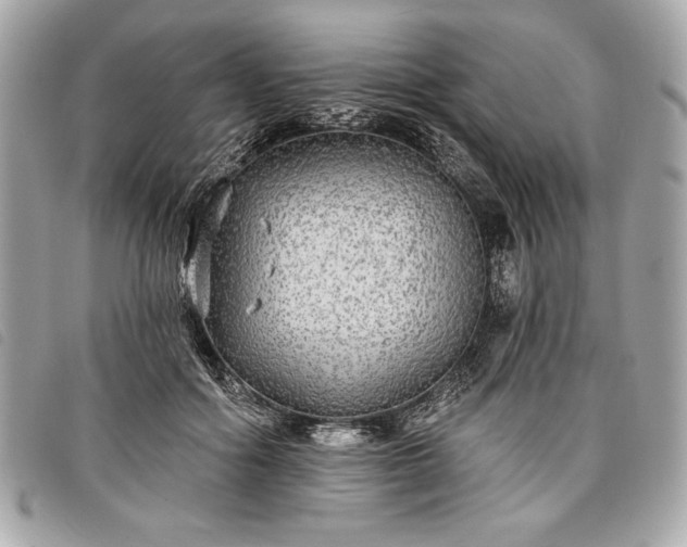 X0000098010602200804071329