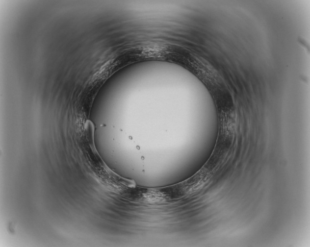 X0000098010603200804071329