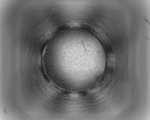 X0000098010604200804071329