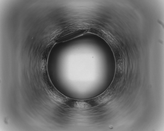 X0000098010605200804071329