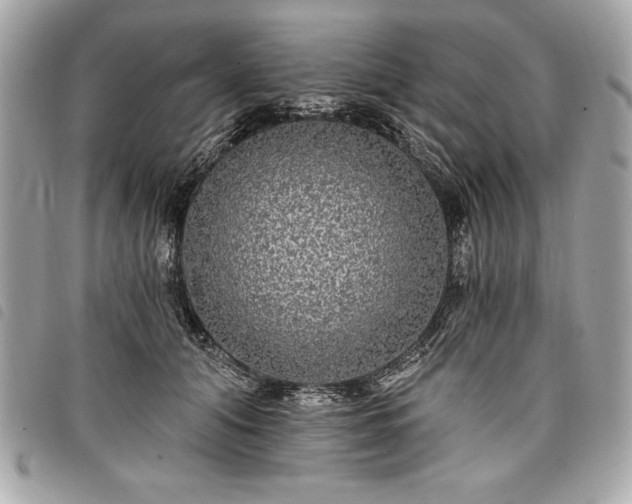 X0000098010608200804071329