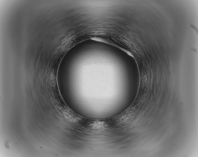 X0000098010609200804071329