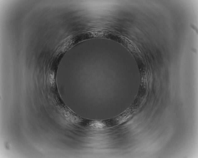 X0000098010610200804071329