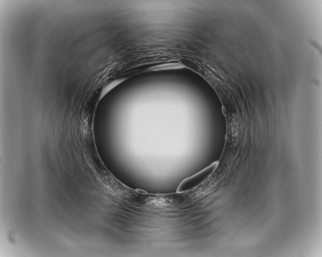 X0000098010611200804071329