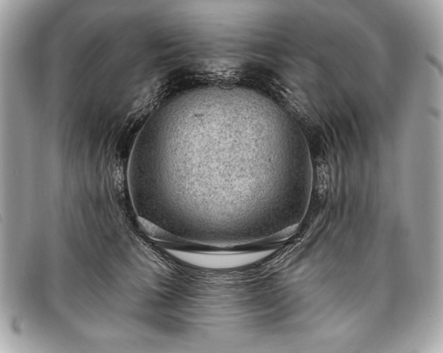 X0000098010613200804071329