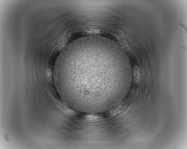 X0000098010614200804071329