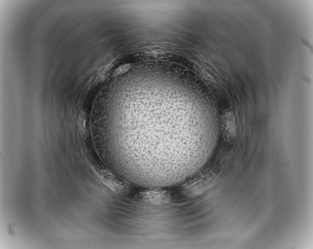 X0000098010615200804071329