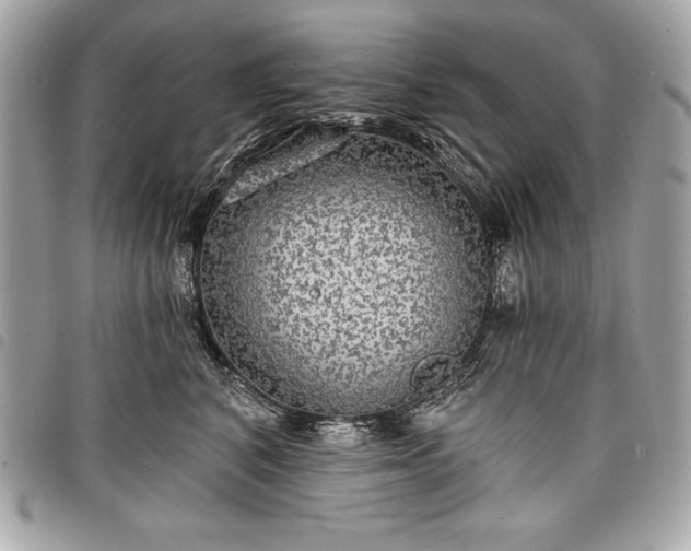 X0000098010616200804071329