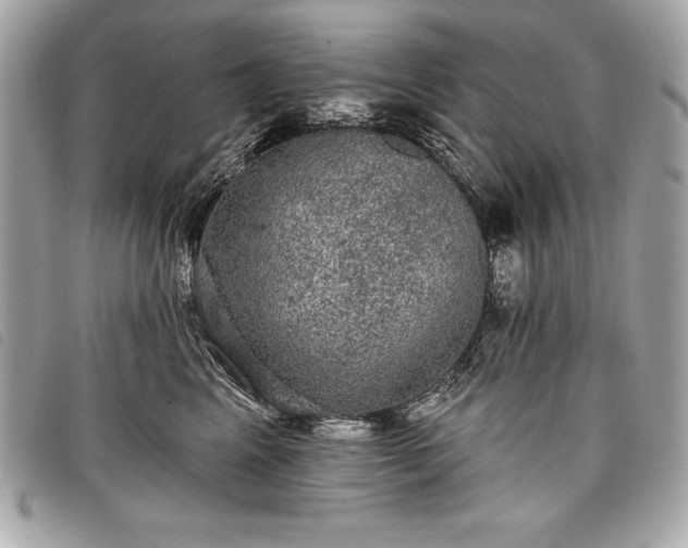 X0000098010617200804071329