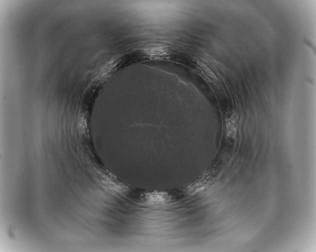 X0000098010618200804071329