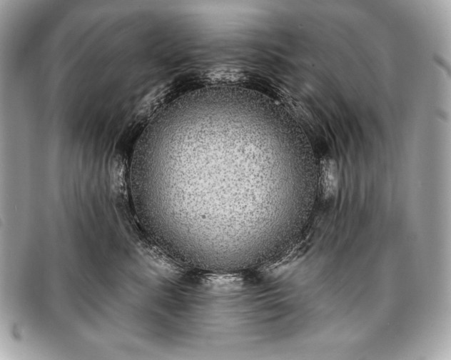 X0000098010619200804071329