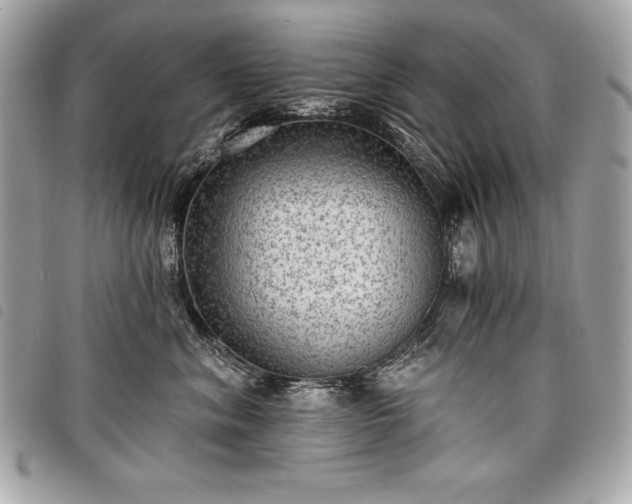 X0000098010620200804071329