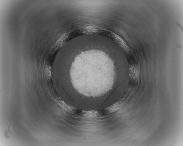 X0000098010621200804071329