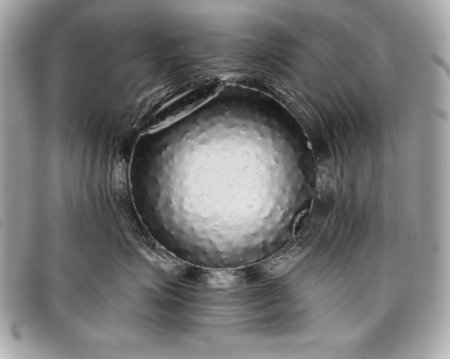 X0000098010623200804071329