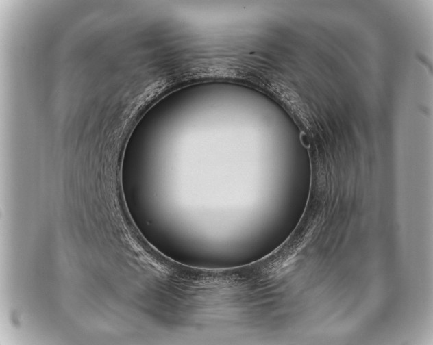 X0000098010625200804071329