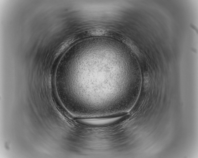 X0000098010626200804071329