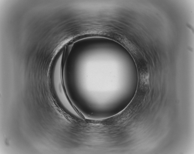 X0000098010628200804071329