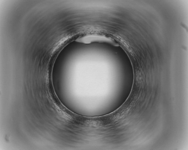 X0000098010629200804071329