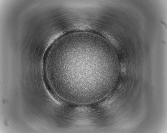 X0000098010630200804071329