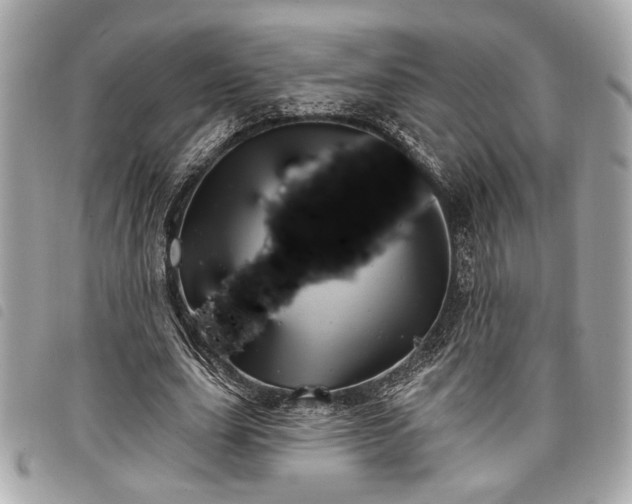 X0000098010631200804071329