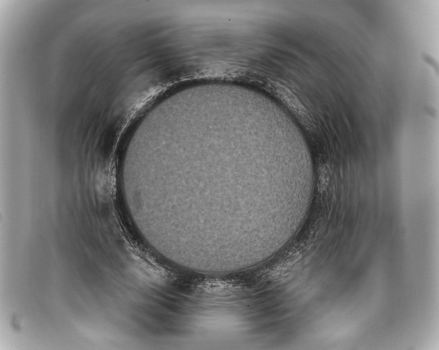 X0000098010632200804071329