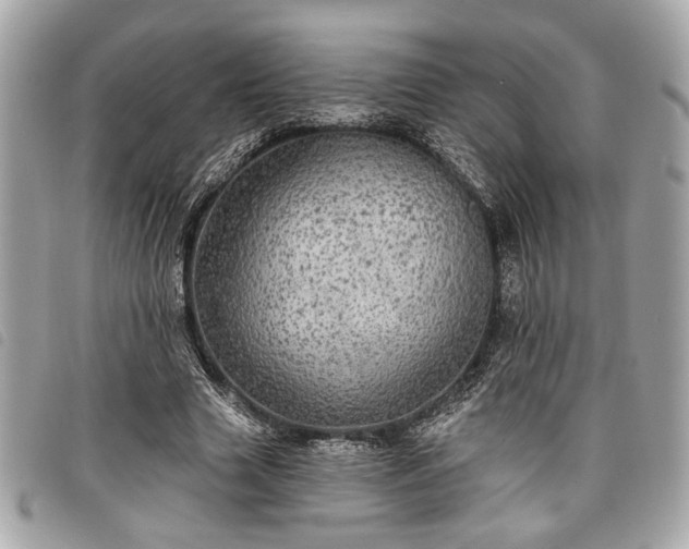 X0000098010633200804071329