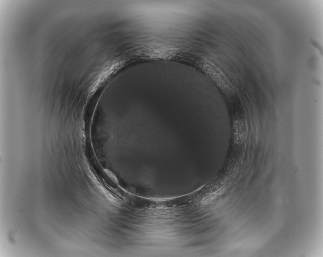 X0000098010634200804071329