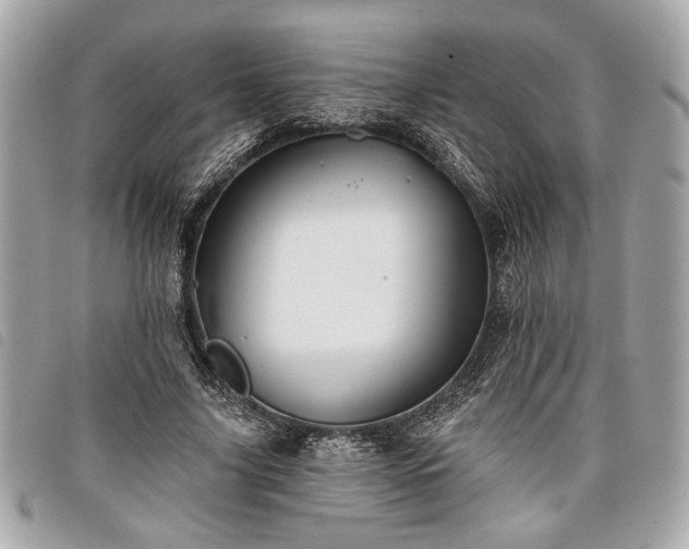 X0000098010635200804071329