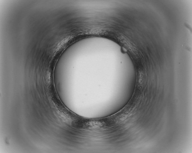 X0000098010636200804071329